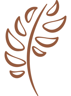 Brown leaf icon