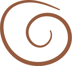 Snail spiral icon